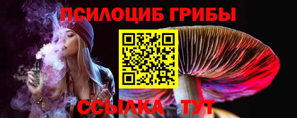 Выборг  Псилоцибиновые грибы Magic Shrooms  Вход с VPN 